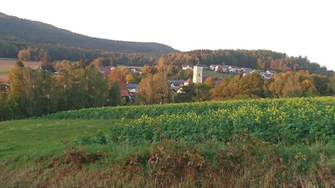 Ferienwohnung Kreuzer Lydia Furth im Wald Exterior photo
