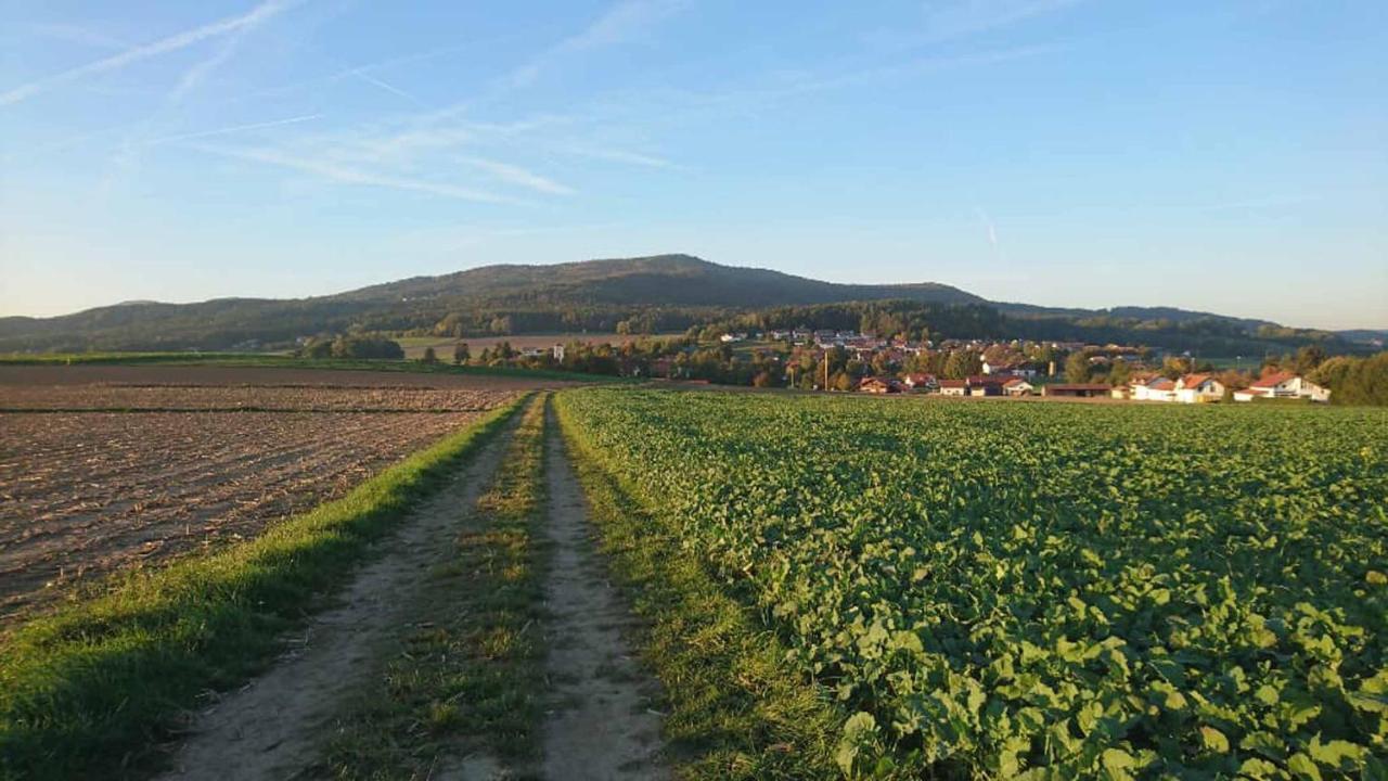 Ferienwohnung Kreuzer Lydia Furth im Wald Exterior photo
